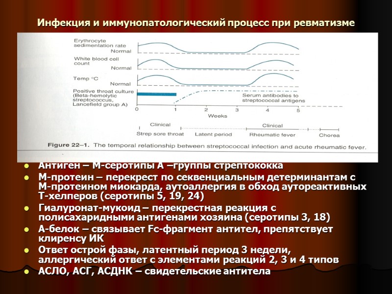 Инфекция и иммунопатологический процесс при ревматизме Антиген – М-серотипы А –группы стрептококка М-протеин –